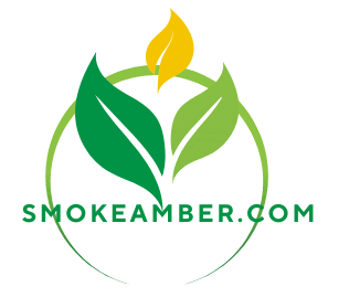 why do some cigarettes have holes in the filter NOVA Online | Search for a Safe Cigarette